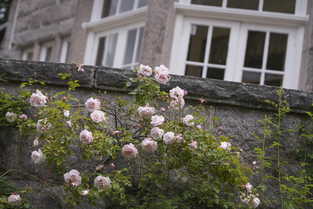 Lys-Na-Greyne Aboyne Exterior foto
